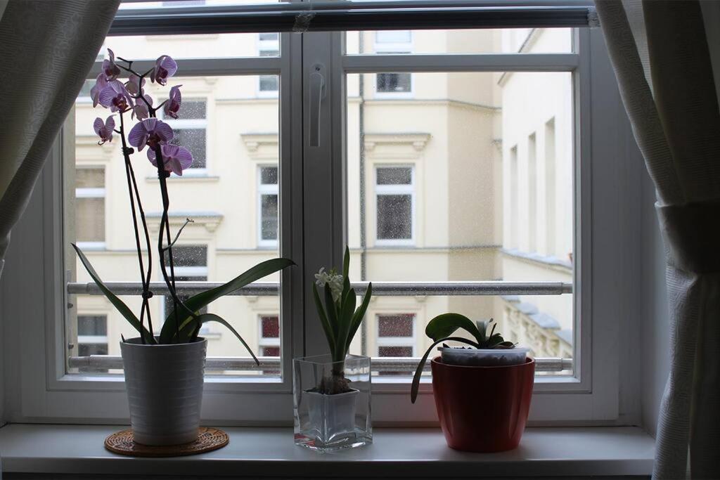 Apartment - Berlin City Studio Luaran gambar